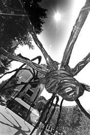 "Spider," bronze sculpture by Louise Bourgeois. - Walter  Novak