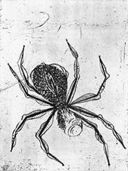 "Spider," by Louise Bourgeois, drypoint.