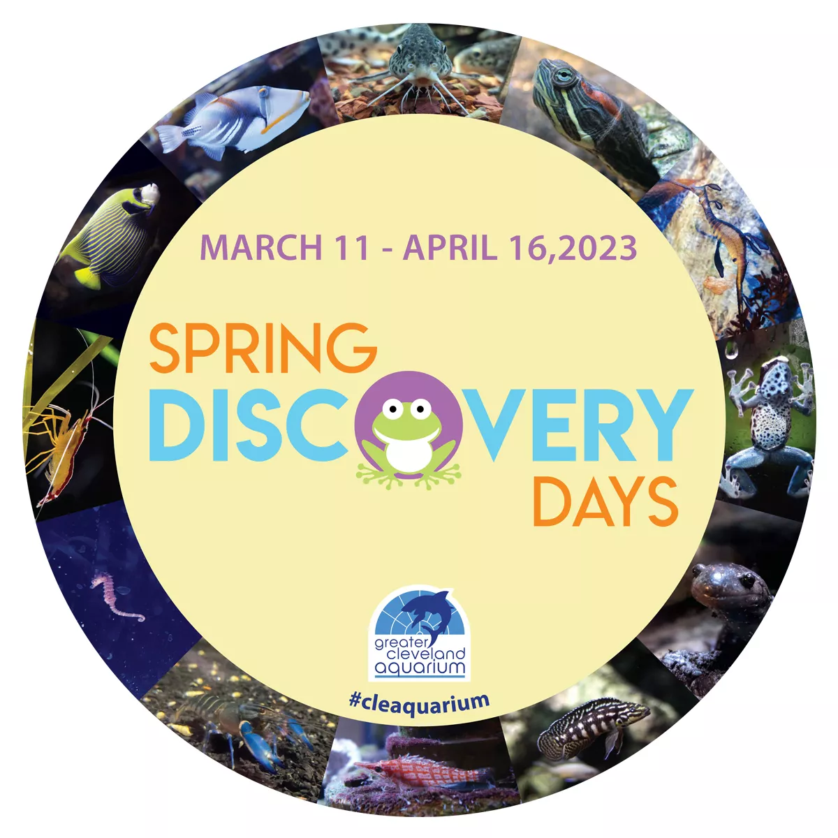 23springdiscoverydayssq.webp
