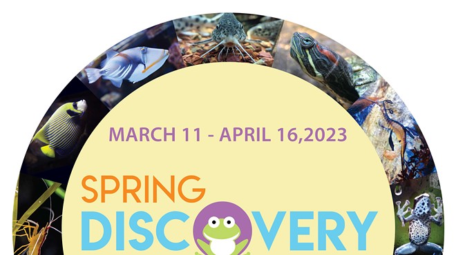 Spring Discovery Days @CLEAquarium