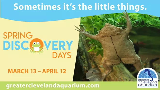 Image: Spring Discovery Days