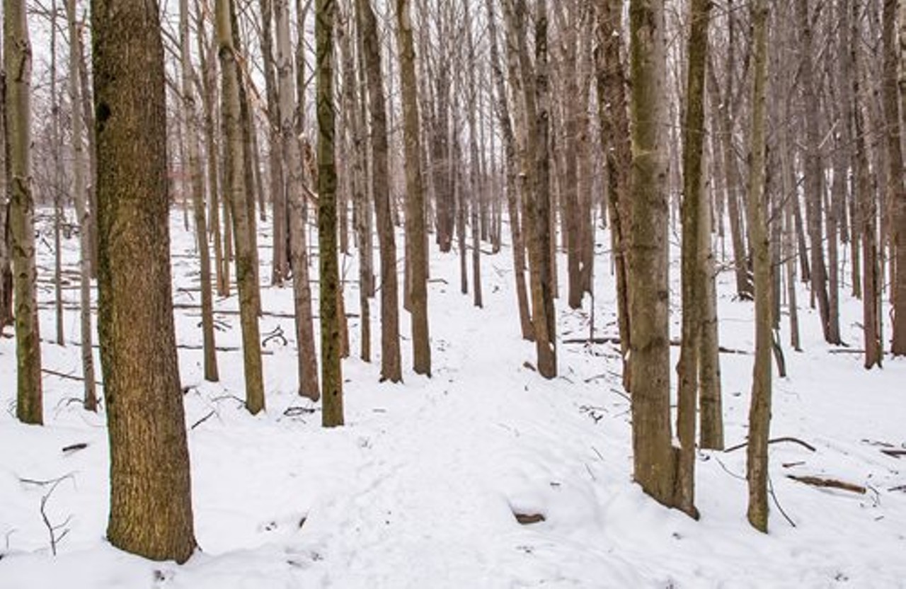 10 Great Winter Hikes in the Cleveland Metroparks Cleveland