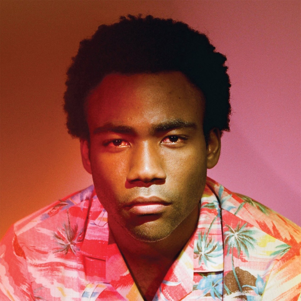  "Starlight," by Childish Gambino
On this Gambino track, DC Pierson references the 30 Rock episode (Donald Glover aka Childish Gambino used to write for the show), "Cleveland," where Liz Lemon's boyfriend (Floyd) leaves her to move back to the city. "On some Liz Lemon movin' back to Cleveland."   
Because the Internet album art