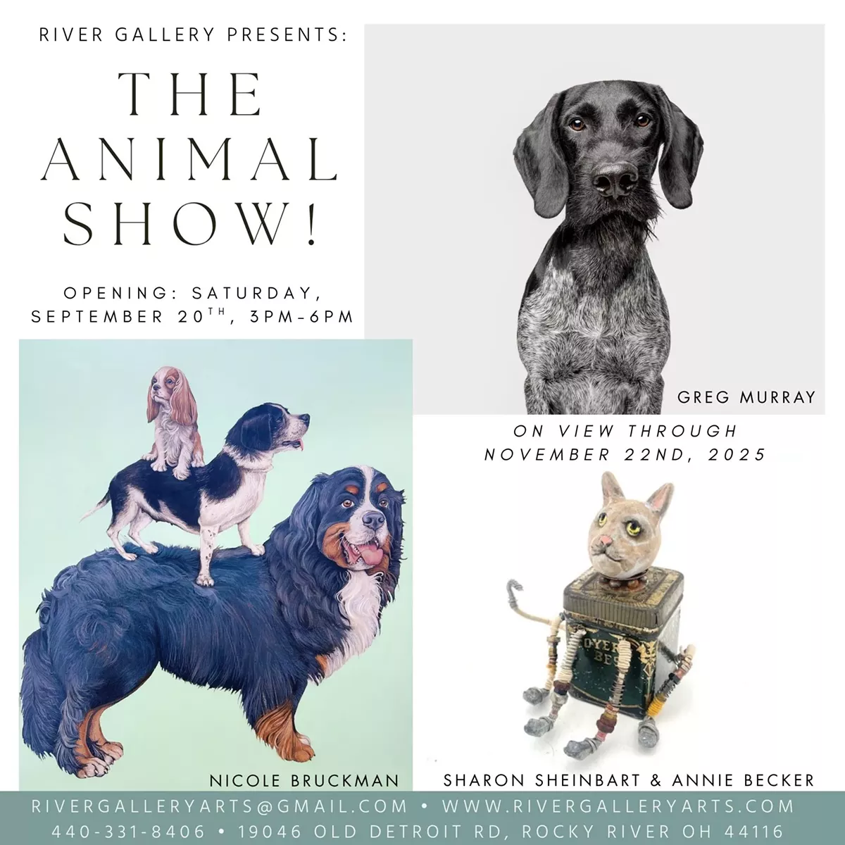 The Animal Show!