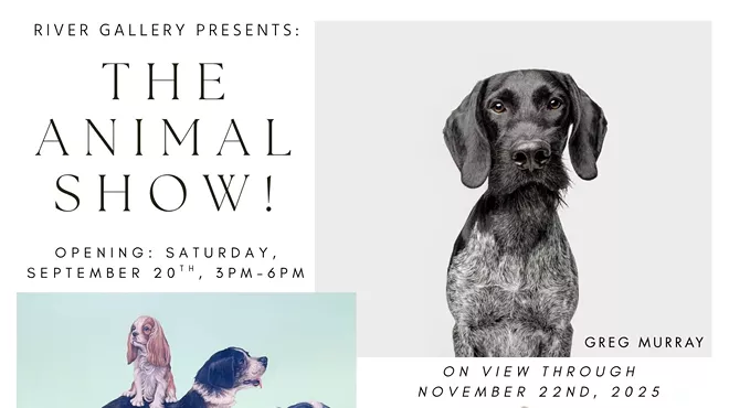 Image: The Animal Show!