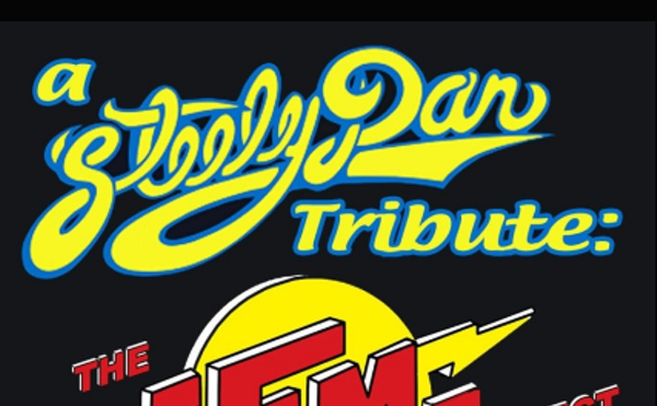 Image: The FM Project - A Steely Dan Tribute