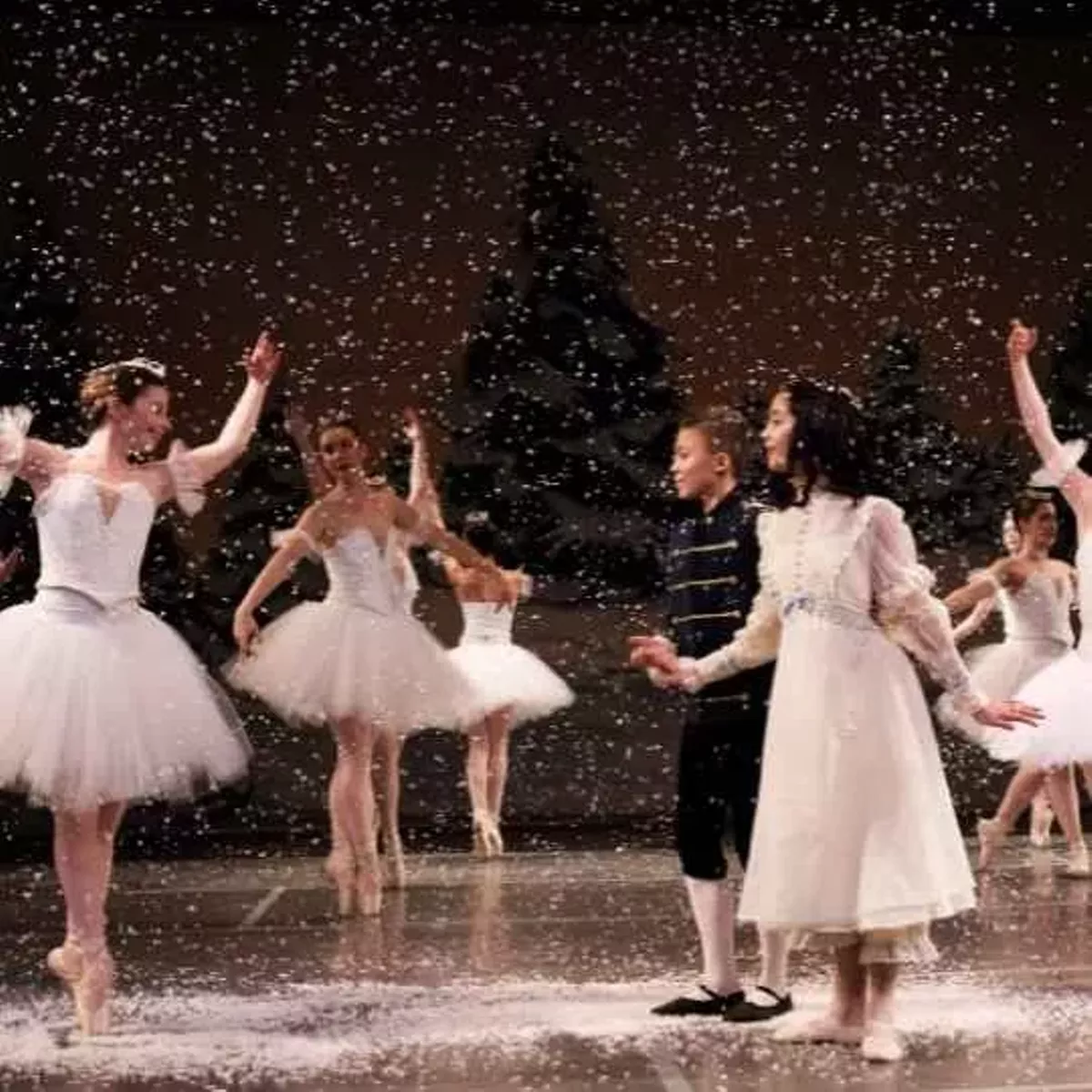 Clara in the Land of Snow