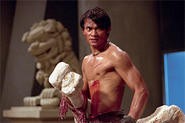 Tony Jaa: No wires, just 125 pounds of fury.