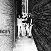 Blue Arrow Records to Host Release Party for 'Dead Boys 1977: The Lost Photographs of Dave Treat'