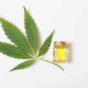 Best CBD Oils 2020 - Top Products Reviewed