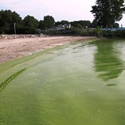 EPA Enforcement Pause Could Spur Harmful Algae-Bloom Growth in Lake Erie