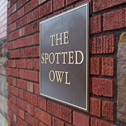 The Spotted Owl in Tremont Welcomes Back Its First Guests in 20 Months