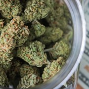 Ohio Recreational Marijuana Backers Submit Signatures for Ballot Issue