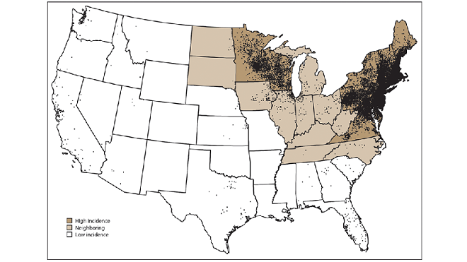 CDC MAP SHOWING AVERAGE LYME DISEASE BY COUNTY FROM 2008-2015