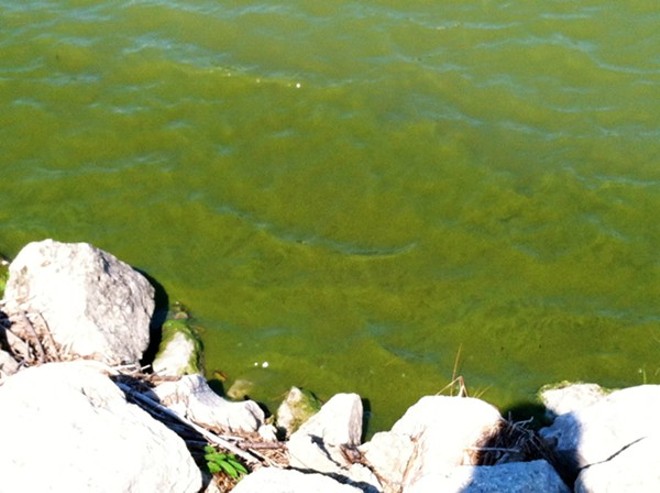 The First 2018 Lake Erie Algal Bloom Forecast is Here, and It's Not Pretty