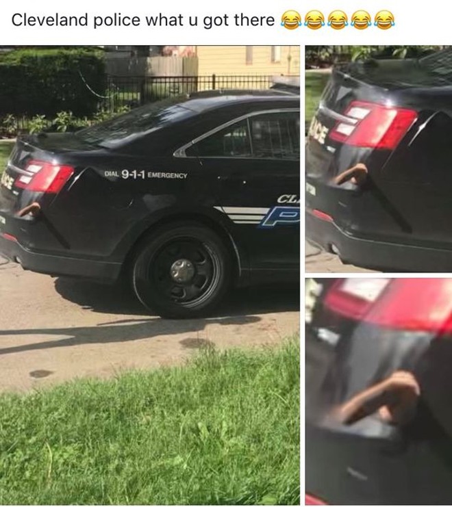 Someone Stuck a Dildo on a Cleveland Police Cruiser