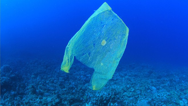 Heroic Ohio Senate Passes Bill Forbidding Local Plastic Bag Bans for One Year