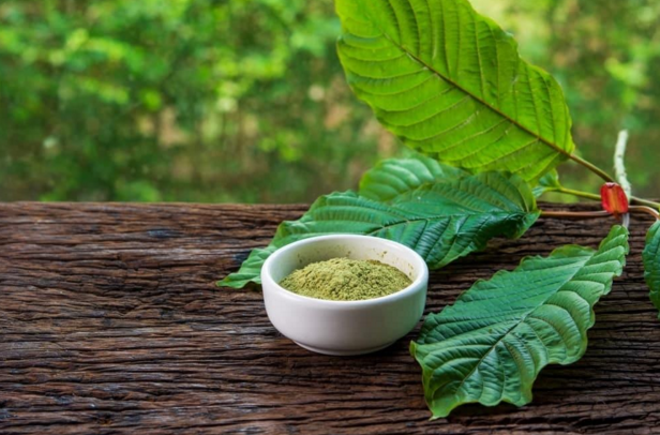 Green Malay Kratom: Focus Your Mind & Relieve Stress