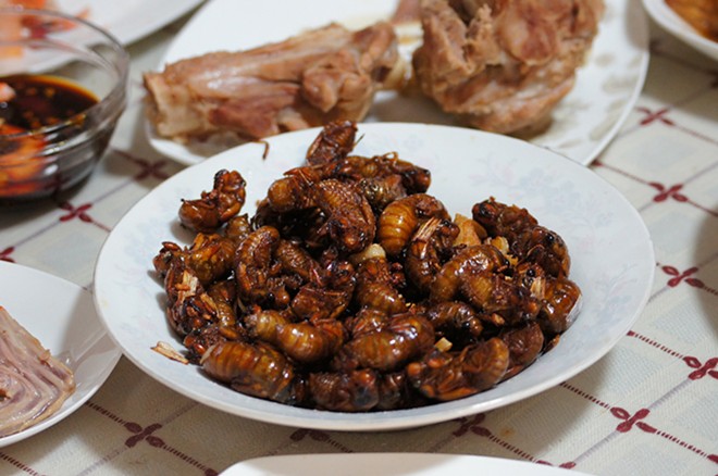 A bowl of deep-fried cicadas - xiangrui huang/FlickrCC