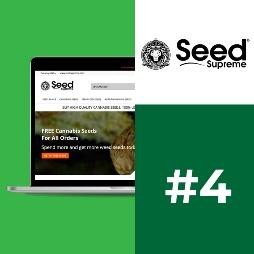 10 Best Seed Banks for Feminized Seeds (with US delivery)