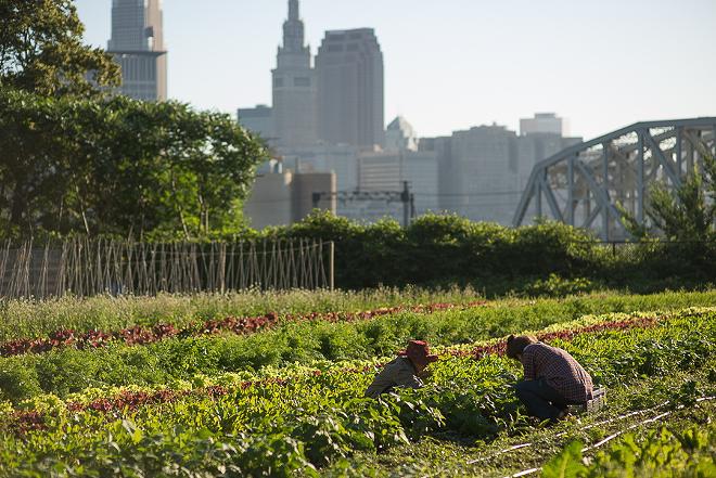 This six-acre urban farm in Ohio City is the site of the annual Refugee Response benefit. - Billy Delfs