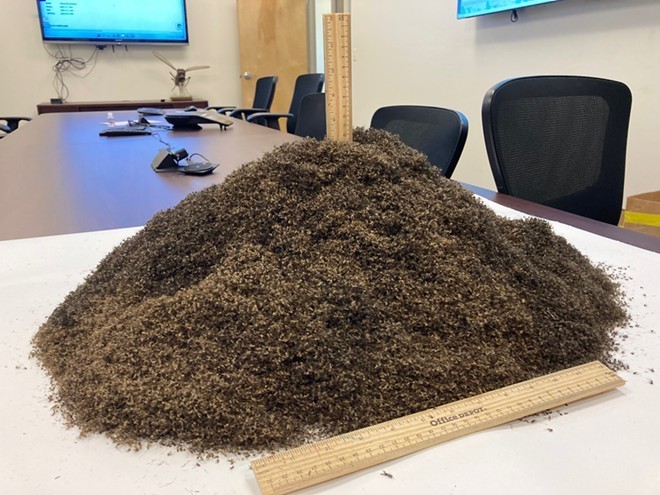 If you ever wondered what a million dead mosquitoes looks like, now you know. - Twitter / Lee County Mosquito Control