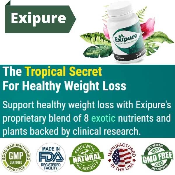 Exipure Reviews – Does It Work for Weight Loss?