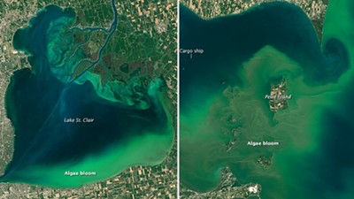 Algae blooms are growing in Lake St. Clair and Lake Erie (right) - NASA