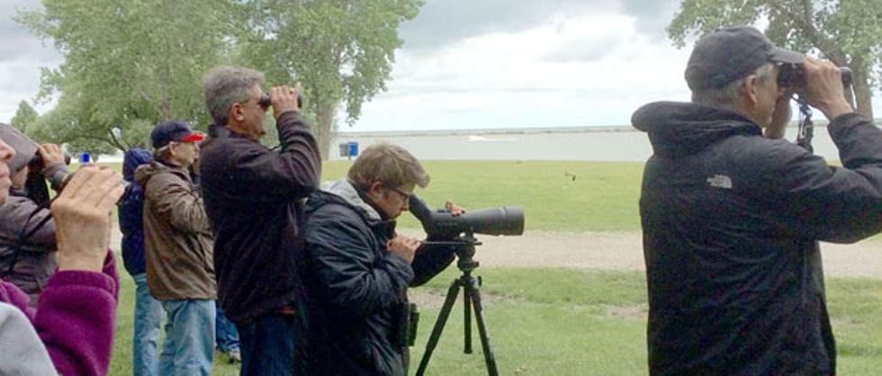 Lessons on Saving the Planet from the Biggest Week in American Birding