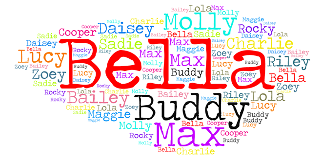 Wordcloud of Cleveland's most popular dog names