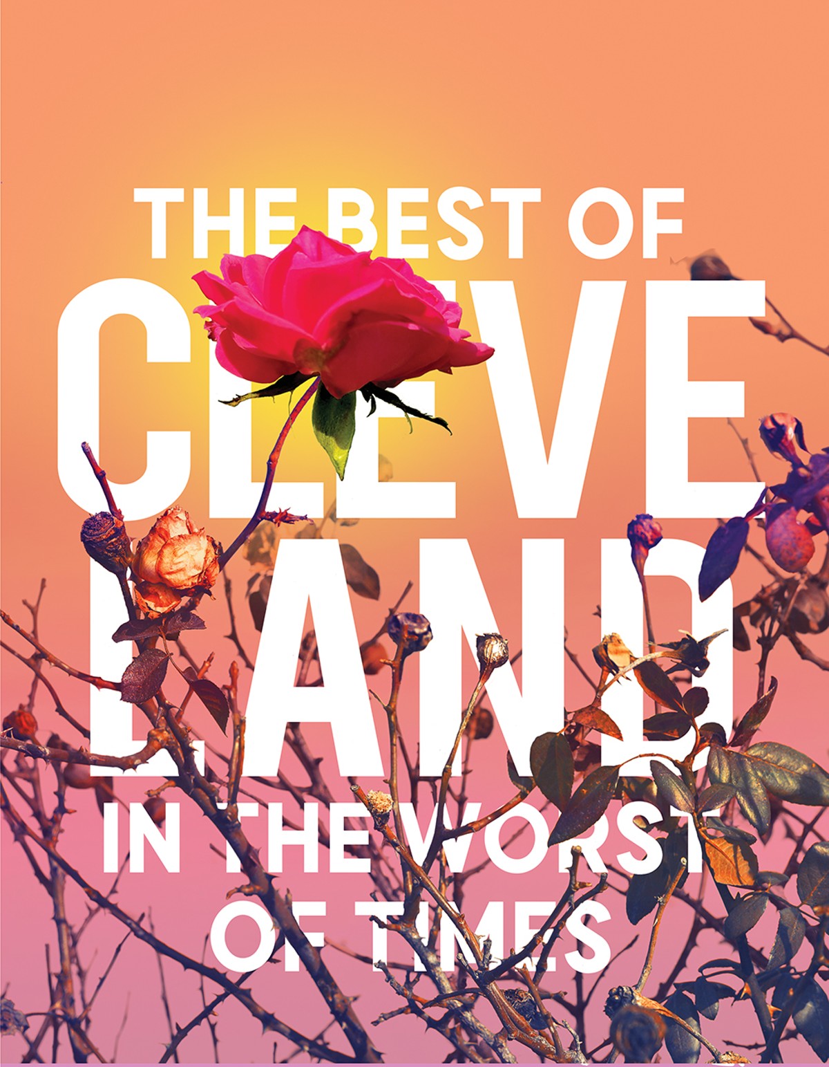 Best of Cleveland: Shops & Services
