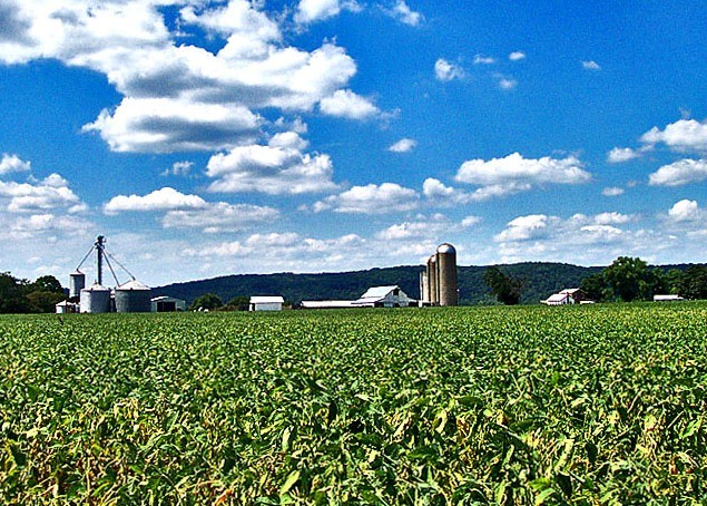 Census of Agriculture Reveals Bright Spots, Challenges for Ohio Farming ...