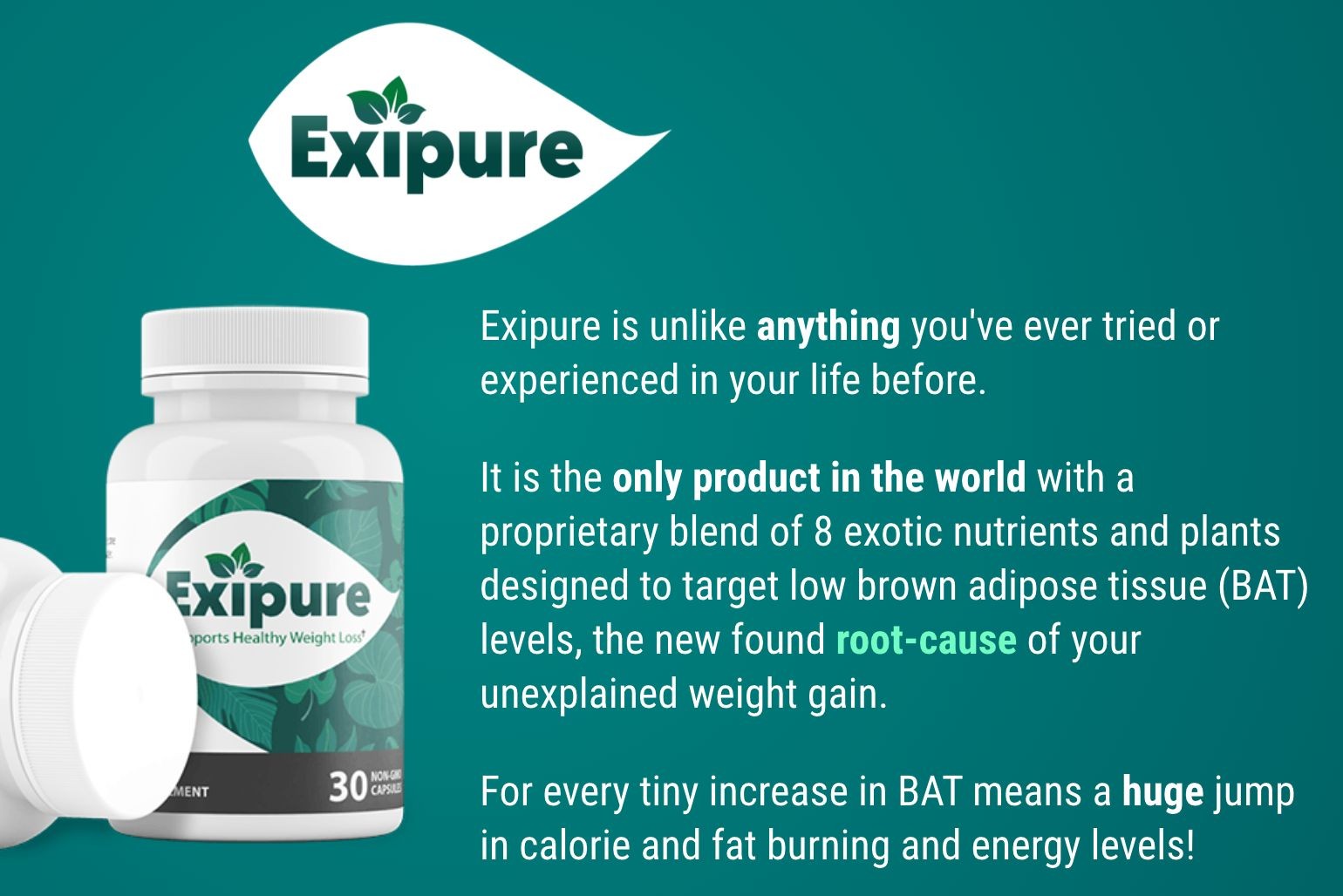 Exipure Reviews (Real or Fake) Critical Details Uncovered