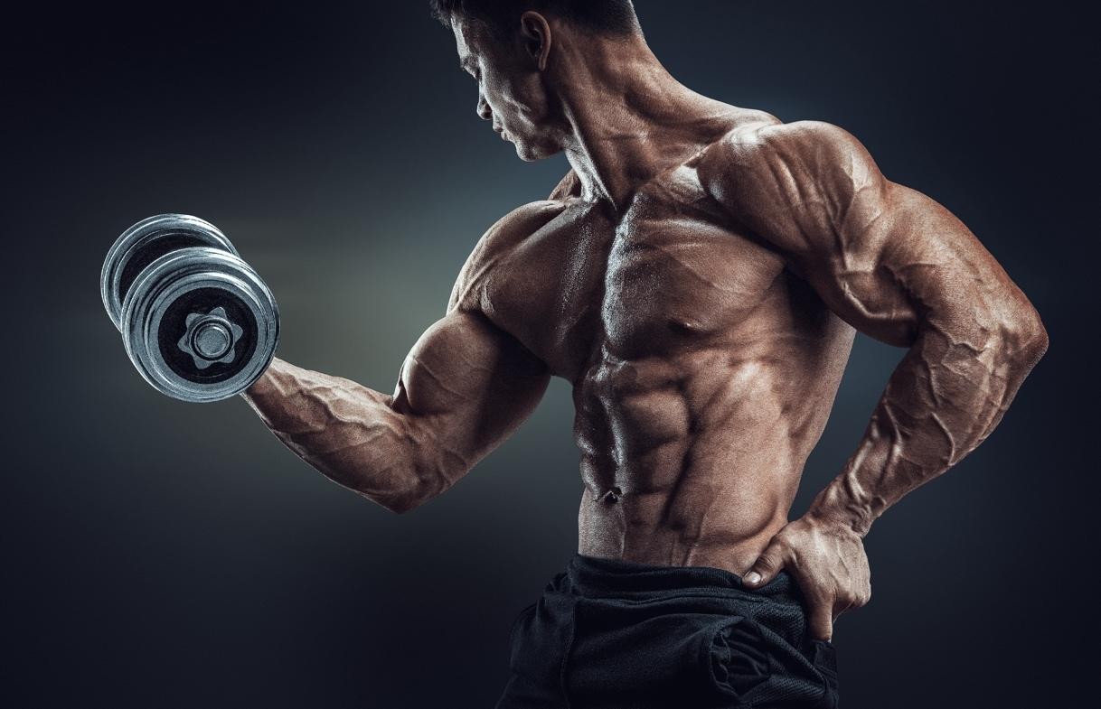 Best SARM Supplements That Work - Top SARMS for Bulking & Cutting Strength