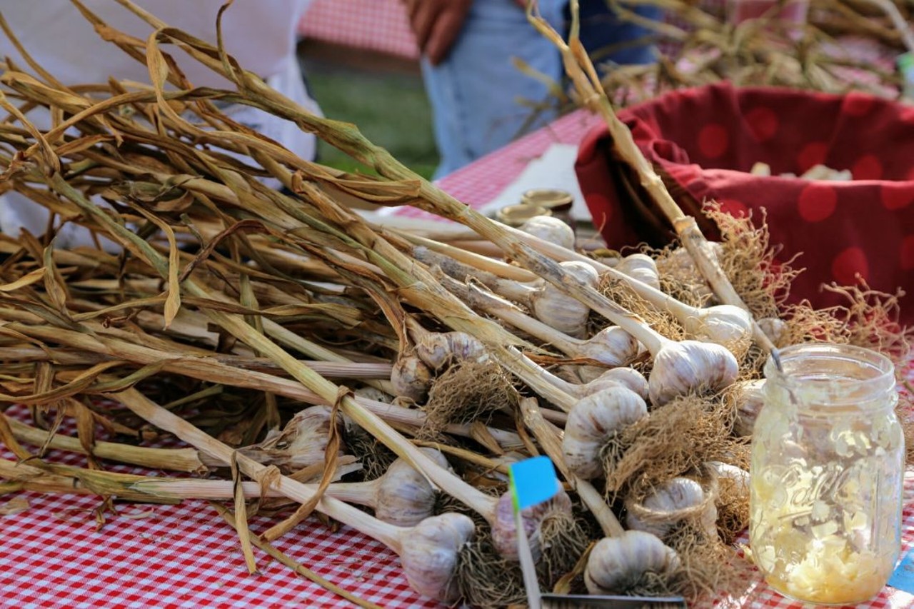 Everything We Saw at the Cleveland Garlic Festival at Shaker Square