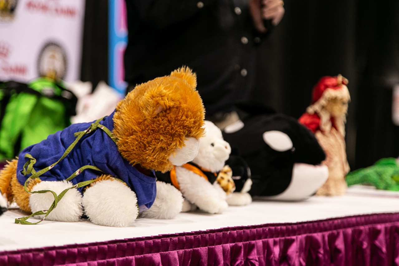 Everything We Saw at the 2019 International Cat Show