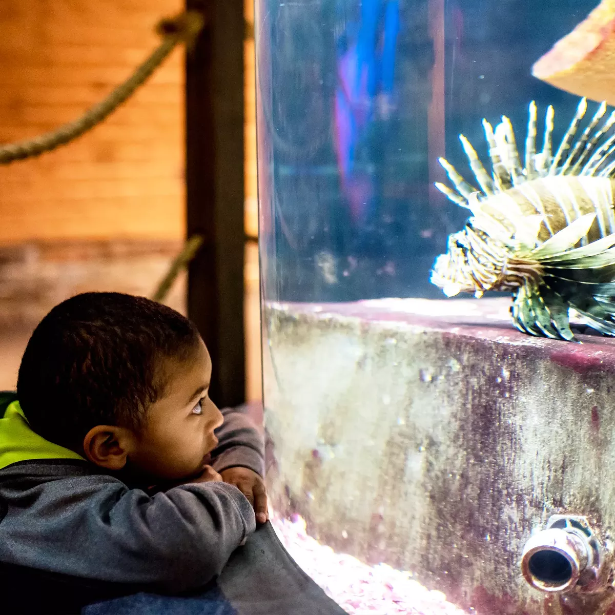 Difference-Makers Days