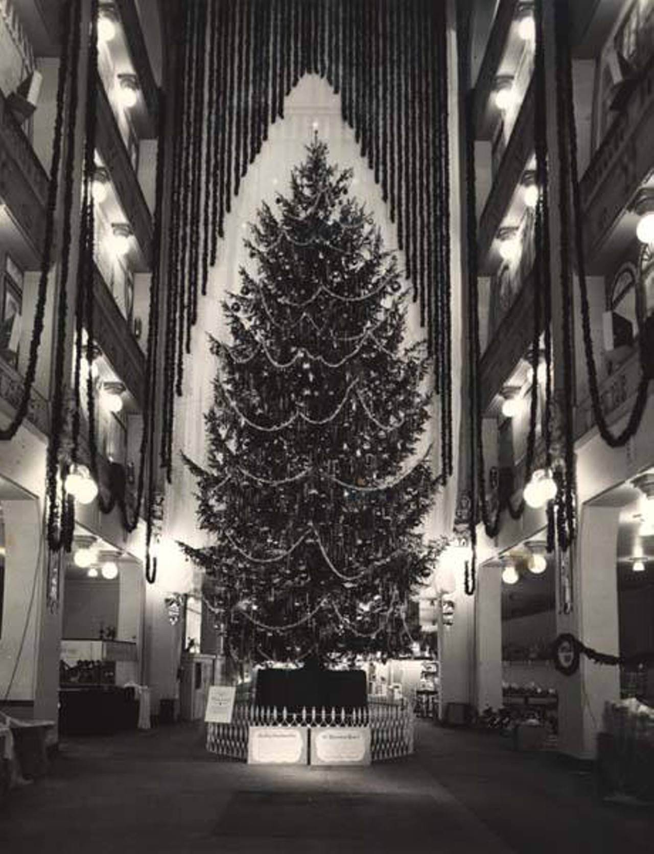 Christmas tree in main lobby, Sterling-Lindner-Davis, 1960