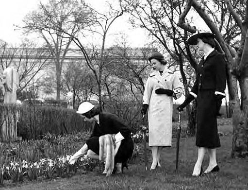 Women in Wade Park, 1959