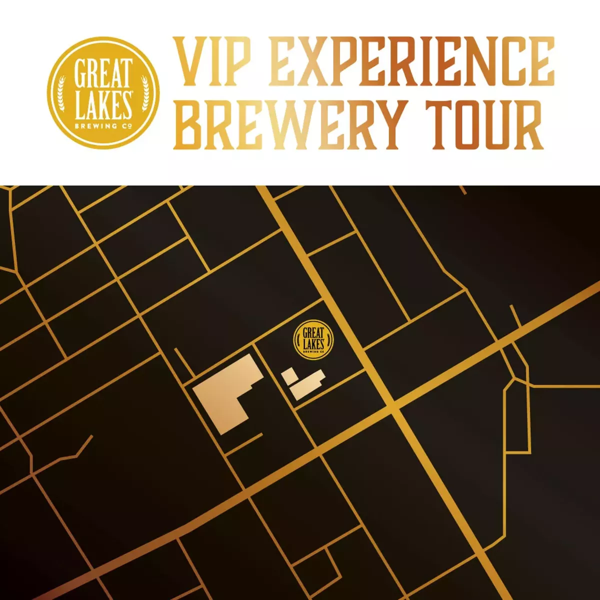 vip_experience_.webp