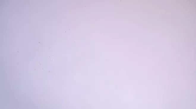 Image: Warren Miller's Winter Starts Now