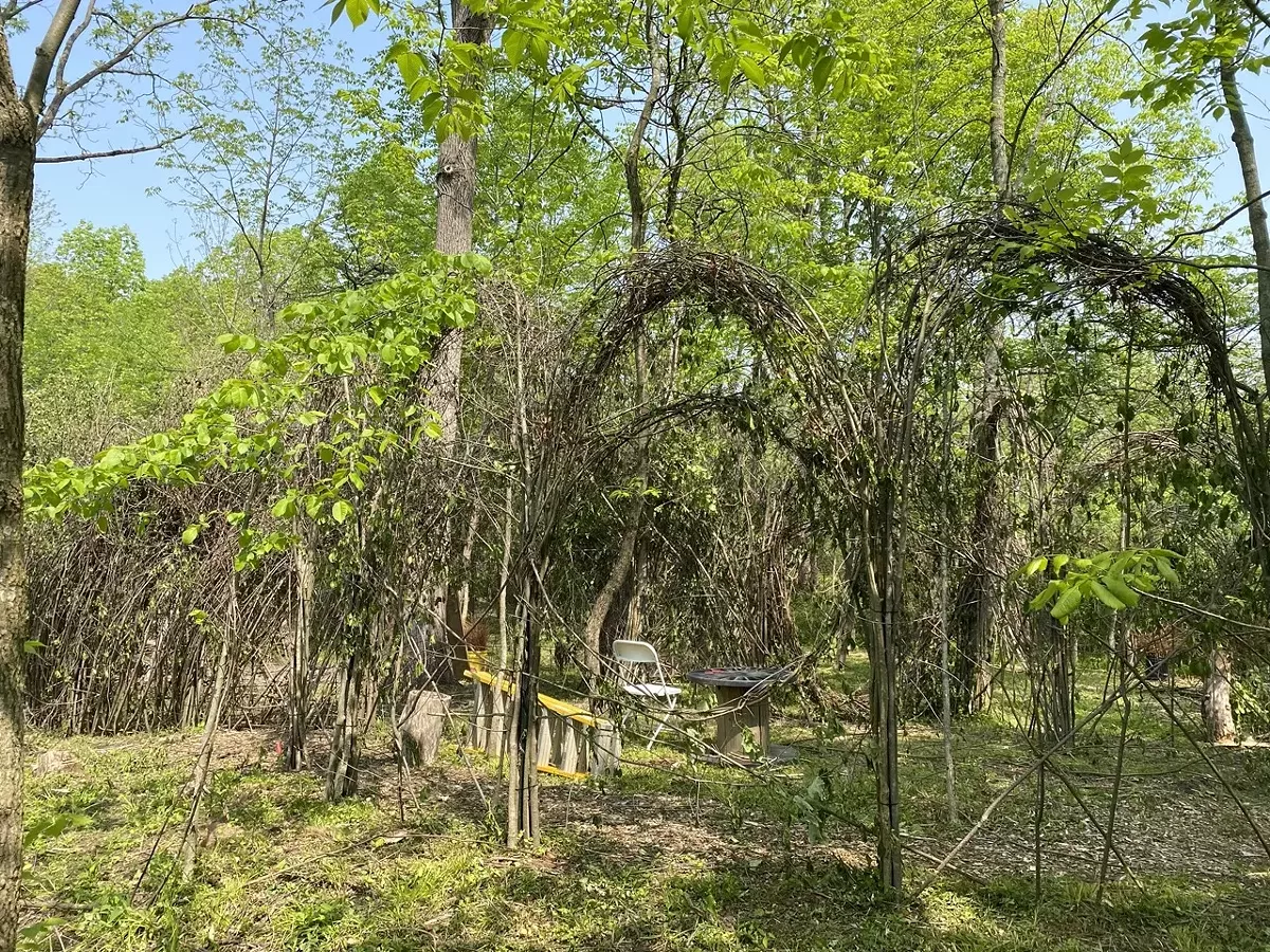 The 'Woven' structure in progress.