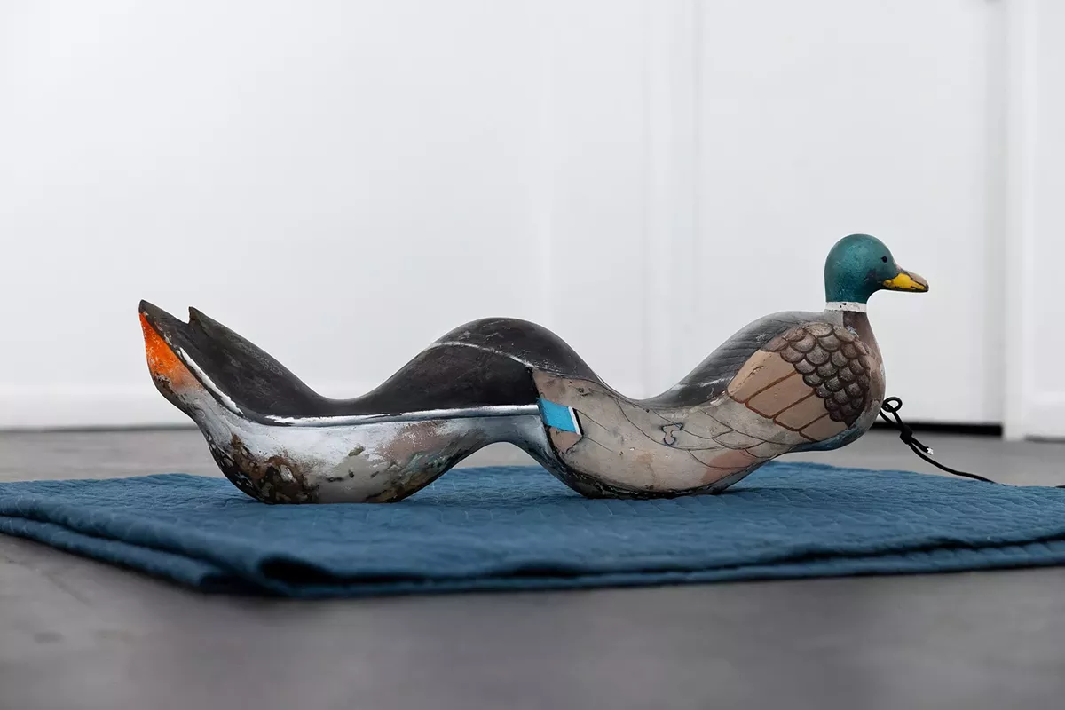 duck_decoy_2021_1_-2.webp